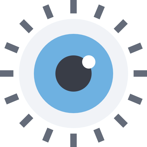 Vision icon