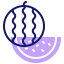 Watermelon icon 64x64