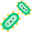 Bacteria icon 64x64