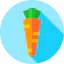 Carrot icon 64x64