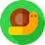 Snail icon 64x64