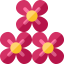 Flower icon 64x64