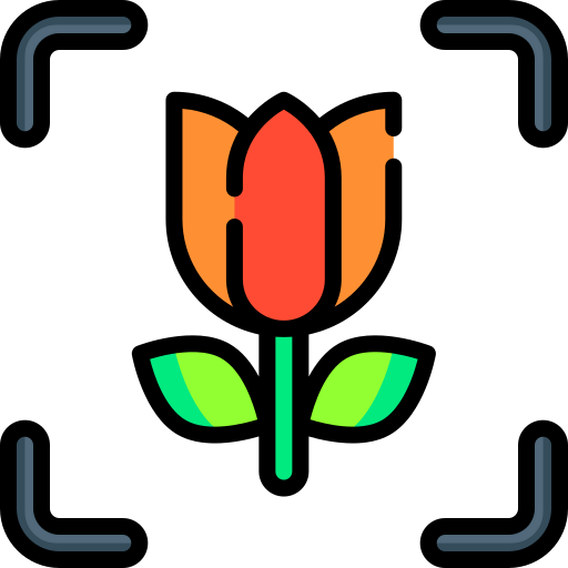 Macro icon