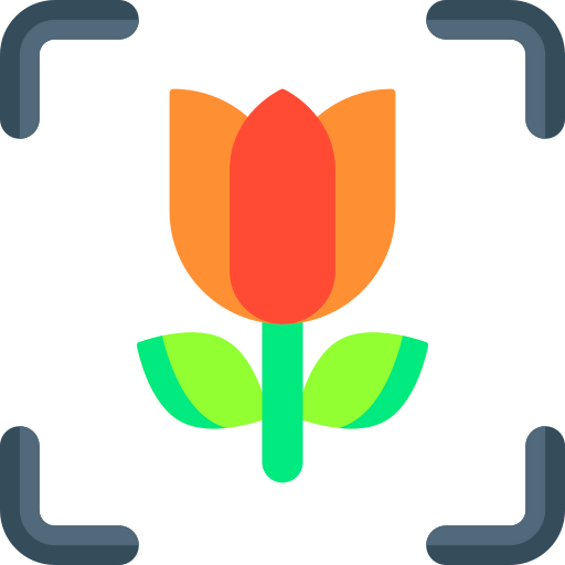 Macro icon
