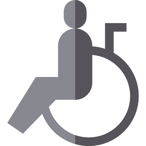 Disabled icon