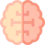 Brain Ikona 64x64