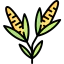 Corn icon 64x64
