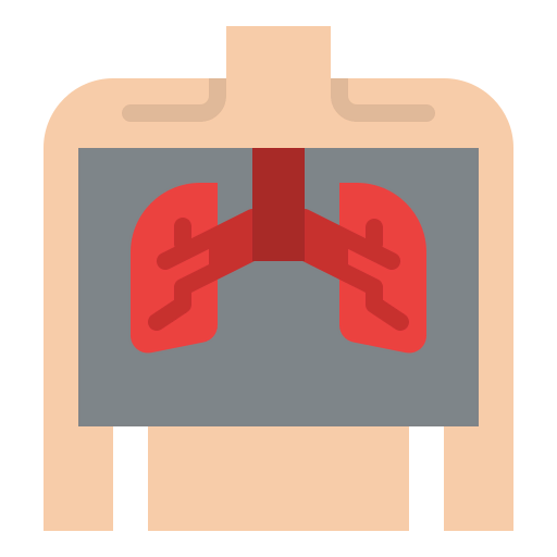 Check up icon