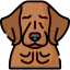 Golden retriever icon 64x64