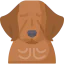 Golden retriever icon 64x64
