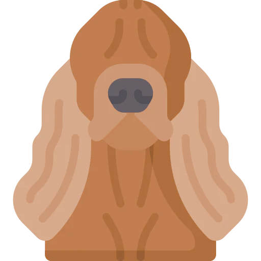 Cocker spaniel icon