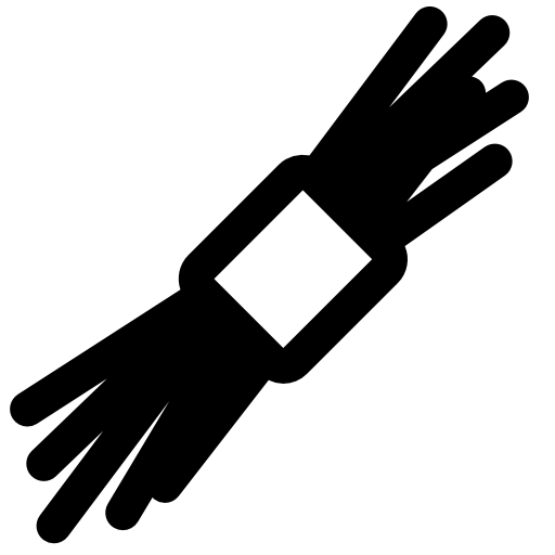 Raw Spaghetti icon