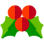 Mistletoe icon 64x64
