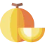 Melon biểu tượng 64x64