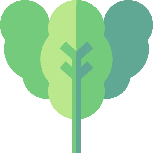 Spinach icon
