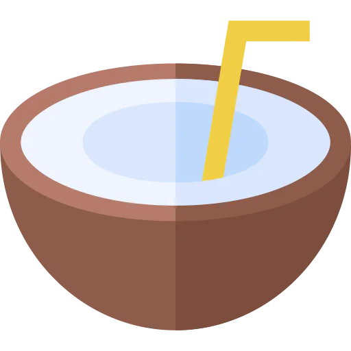 Coconut drink Ikona