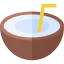 Coconut drink icon 64x64