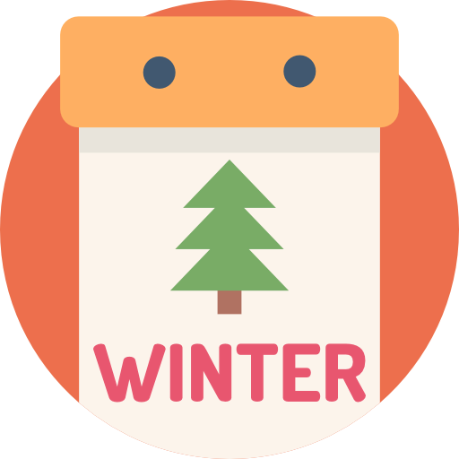 Winter icon