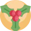 Mistletoe icon 64x64