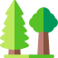 Forest 图标 64x64