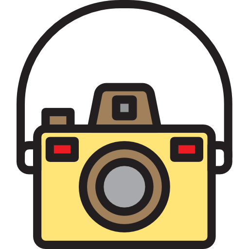 Mirrorless icon