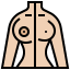 Breast icon 64x64