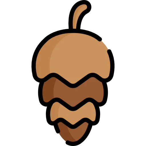 Nut 图标