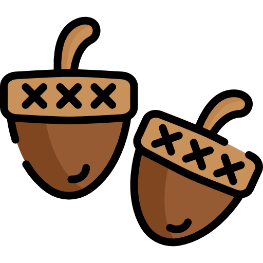 Acorn 图标