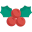 Mistletoe ícone 64x64