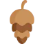 Nut ícone 64x64