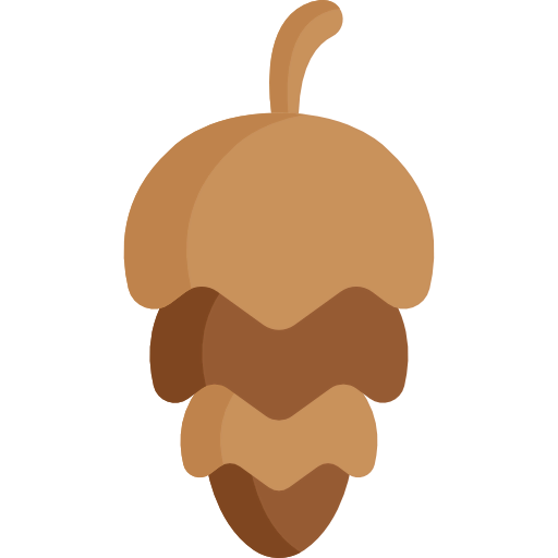 Nut icon
