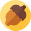 Acorn 图标 64x64