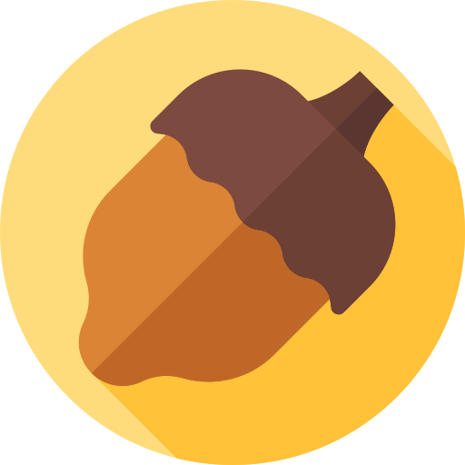 Acorn 图标