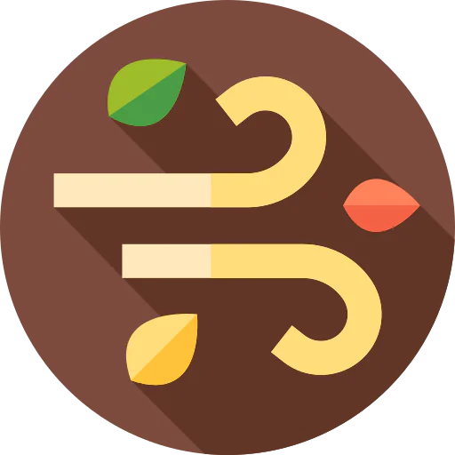 Wind icon