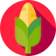 Corn 图标 64x64