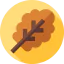Leaf 图标 64x64