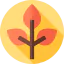 Leaf 图标 64x64