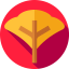 Leaf 图标 64x64