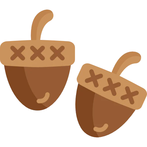 Acorn icône
