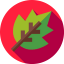 Leaf 图标 64x64