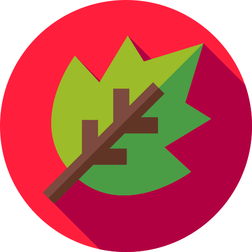 Leaf icon