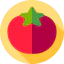 Tomato 图标 64x64