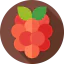 Berry 图标 64x64