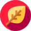 Leaf 图标 64x64