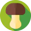 Mushroom 图标 64x64