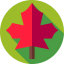 Leaf 图标 64x64