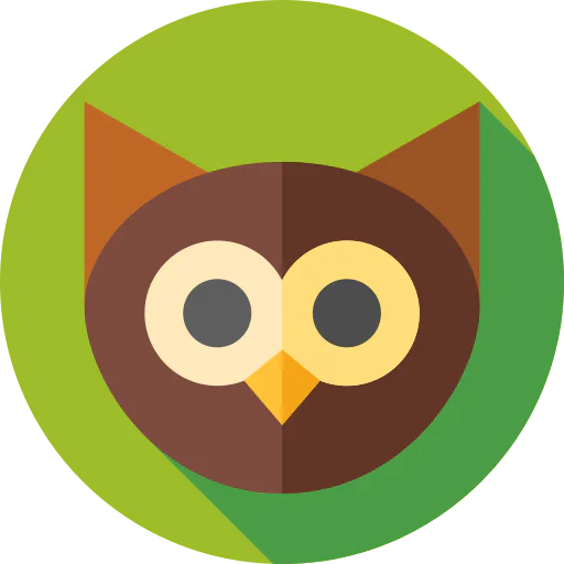 Owl icon