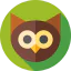 Owl 图标 64x64