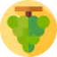 Grapes 图标 64x64
