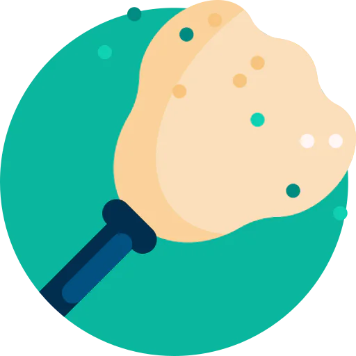 Duster icon